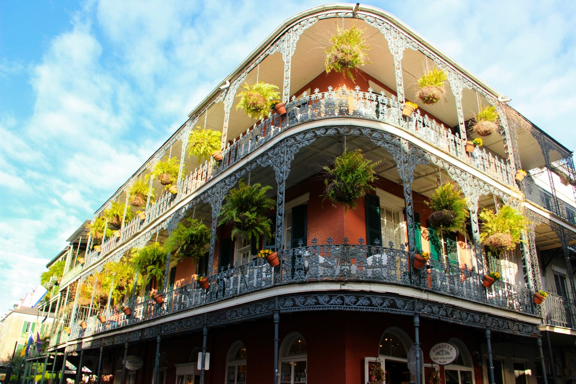 Things to do in New Orleans