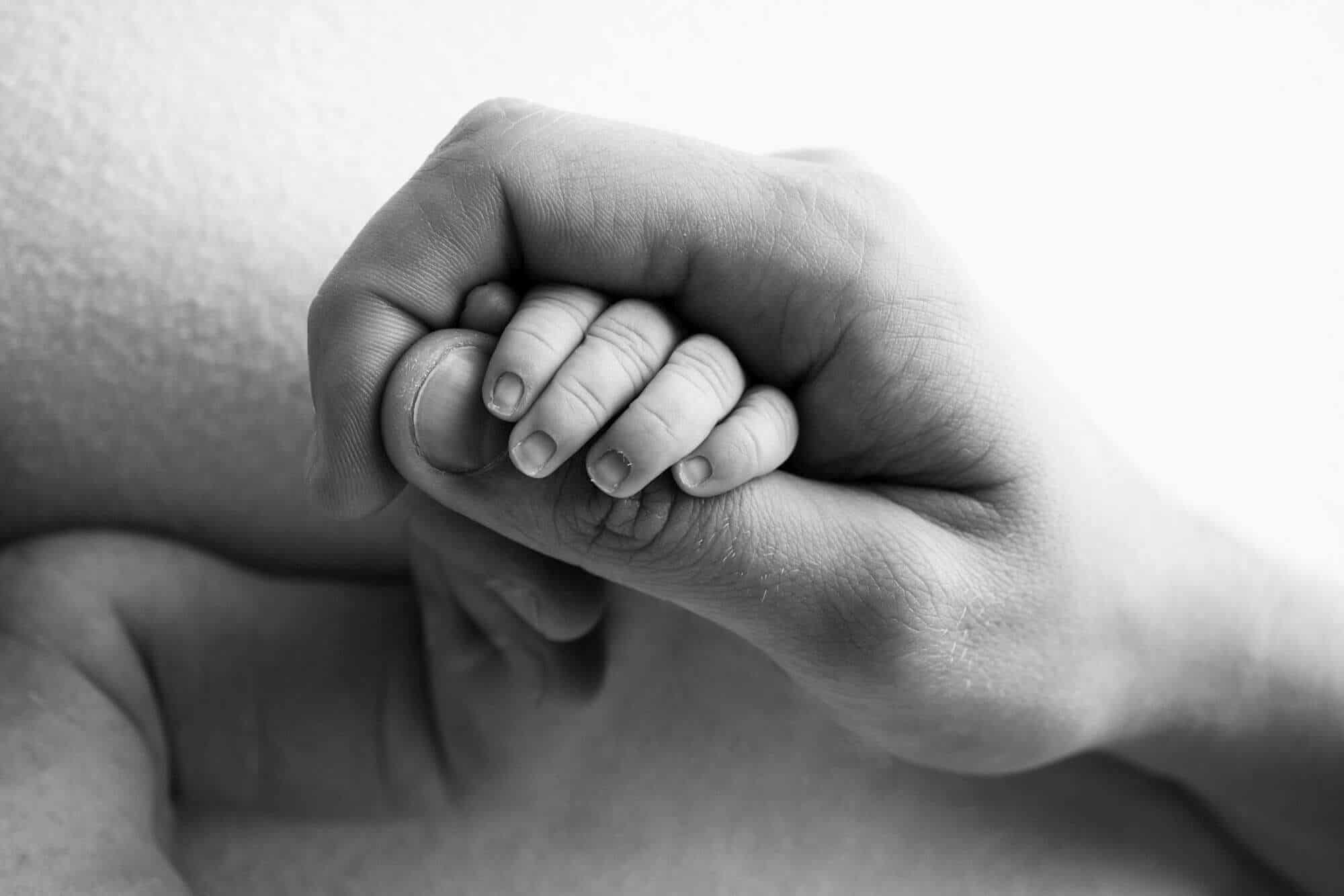 A close-up, black-and-white photo of an adult hand gently holding a newborn baby’s tiny hand, capturing a tender moment of connection and care. Melinda Gilmore Photography - Maternity & Newborn Photographer - Louisiana